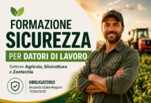 Corso Obbligatorio per Datori di Lavoro