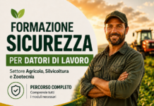 Corso Completo per Datore di Lavoro – RSPP (40h)