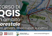 QGIS in Ambito Forestale per Giovani, Disoccupati e Inattivi