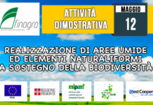 12 Maggio 2018 – Attività Dimostrativa  “Realizzazione di aree umide ed elementi naturaliformi a sostegno della biodiversità”