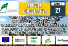 27 aprile 2018. “Agricoltura di precisione (Agricoltura digitale): Utilizzo dei droni per le fitopatie. Tecniche di controllo satellitare per il controllo delle infestanti”