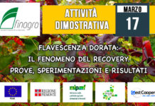 17 Marzo 2018 – Attività Dimostrativa “Flavescenza dorata: il fenomeno del recovery. Prove, sperimentazioni e risultati”