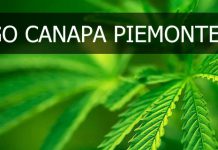 PRESENTAZIONE PROGETTO GO CANAPA PIEMONTE