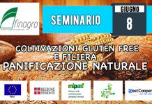8 giugno 2018 – Seminario “Coltivazioni gluten free e filiera – PANIFICAZIONE NATURALE”