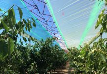 APERTURA BANDO 3/2019 MIS. 5.1.2 – FINANZIAMENTO DI IMPIANTI DI PROTEZIONE CON RETI ANTIGRANDINE