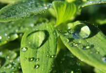 INVESTIMENTI IRRIGUI: APPROVATA LA GRADUATORIA DEL PSRN