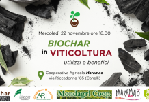 BIOCHAR IN VITICOLTURA: utilizzi e benefici Biochar in viticoltura: utilizzi e benefici