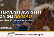Interventi Assistiti con gli Animali: normativa, pratica e inclusione Interventi Assistiti con gli Animali