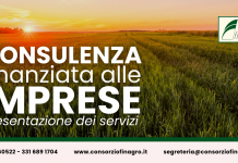 Servizio di Consulenza FINANZIATA alle Imprese Servizio di consulenza finanziata alle imprese
