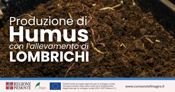 Produzione di humus con l'allevamento di lombrichi