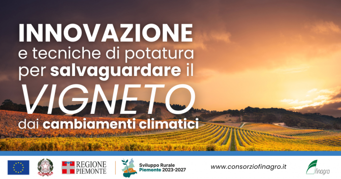 Innovazione e tecnica di potatura per salvaguardare il vigneto dai cambiamenti climatici