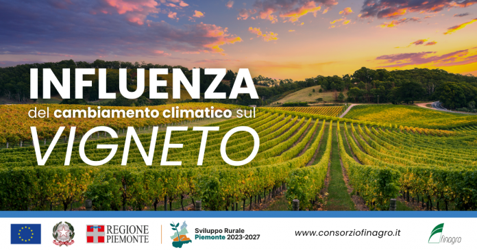 L'influenza del Cambiamento climatico sul vigneto