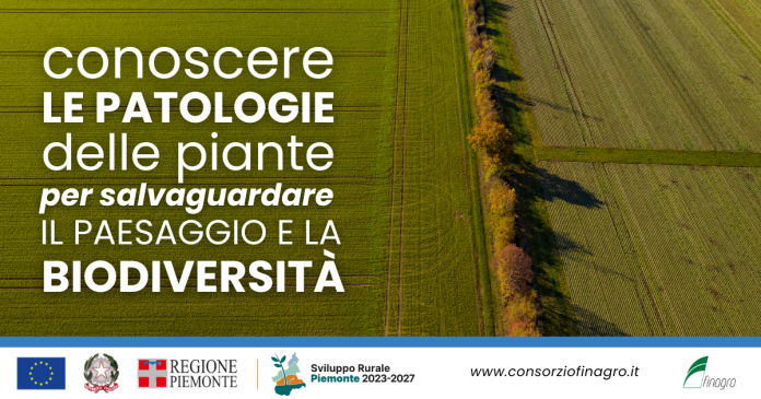 Conoscere le patologie delle piante per salvaguardare il paesaggio e la biodiversità