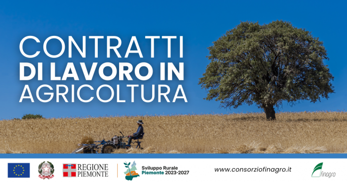 I contratti di lavoro in agricoltura