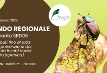 Intervento SRD06 Intervento SRD06