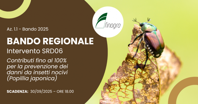 Intervento SRD06
