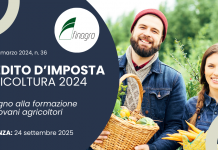 Credito d’imposta agricoltura 2024 per giovani agricoltori Credito d’imposta agricoltura 2024 per giovani agricoltori