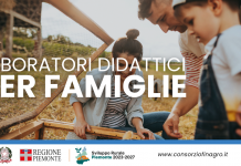 Laboratori didattici per famiglie Laboratori didattici per famiglie