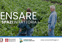 Pensare gli spazi in fattoria Pensare gli spazi in fattoria