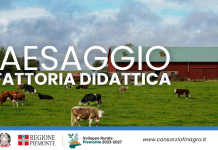Paesaggio e Fattoria Didattica Paesaggio e Fattoria Didattica