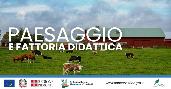 Paesaggio e Fattoria Didattica