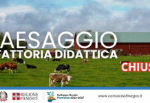 Paesaggio e Fattoria Didattica