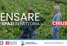 Pensare gli spazi in fattoria