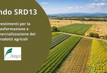 Bando SRD13: nuove opportunità di investimento agricolo Bando SRD13